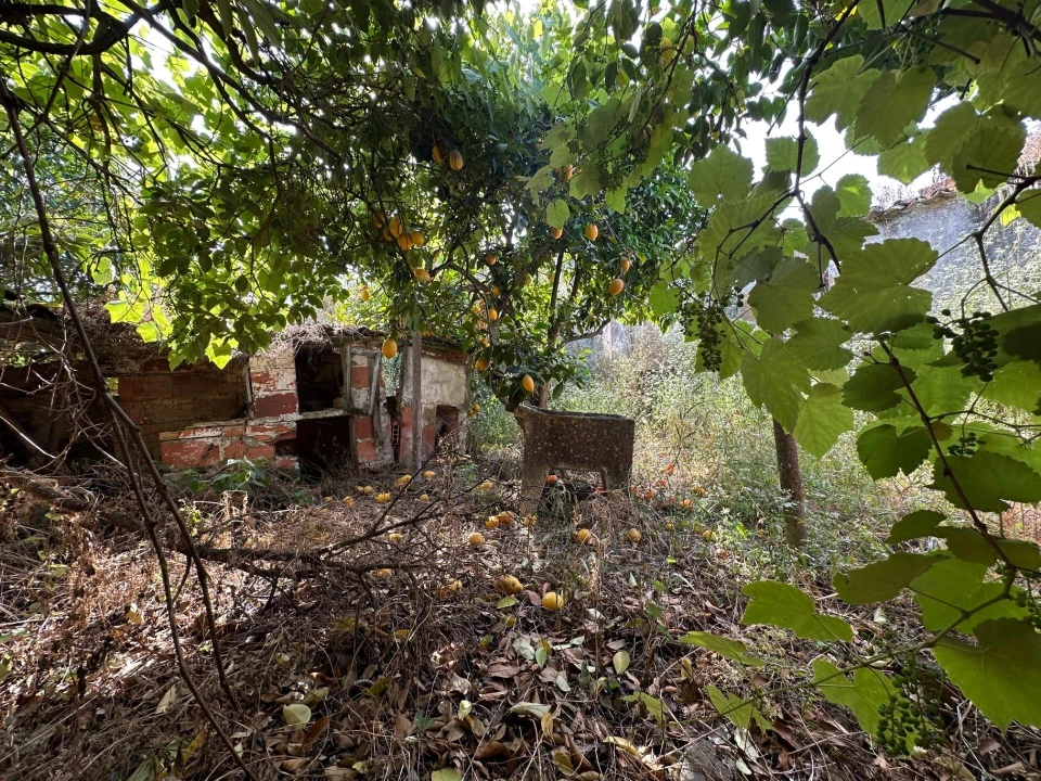 Quinta T2 para Venda em Carregado e Cadafais Foto 13