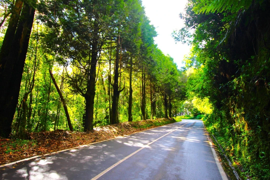 Terreno para Venda em Santana Foto 1