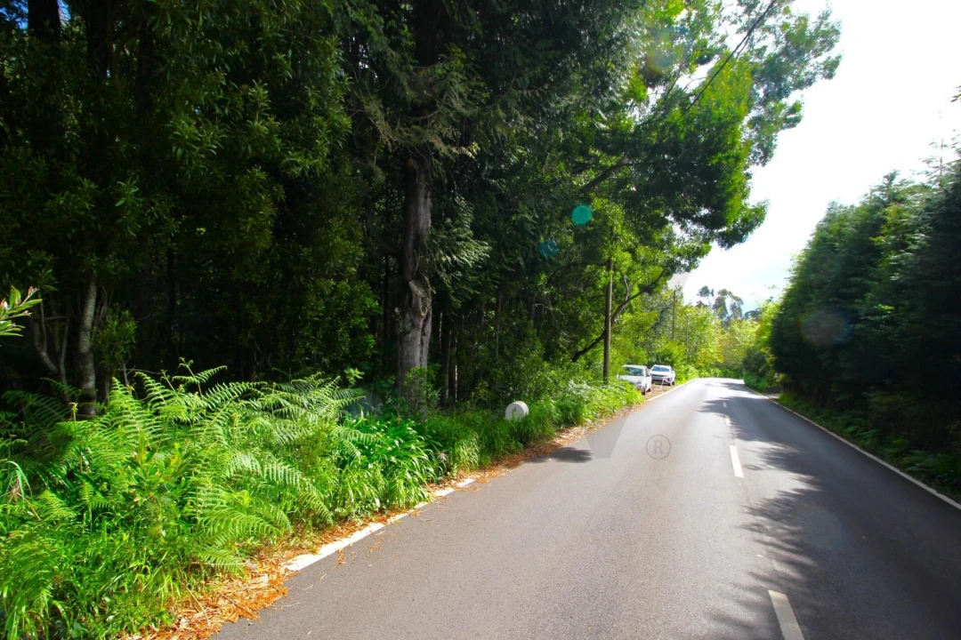 Terreno para Venda em Santana Foto 19