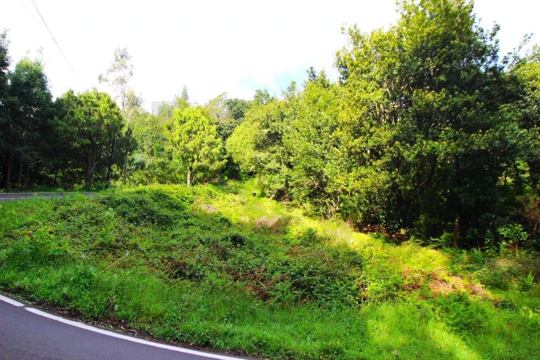 Terreno para Venda em Santana Foto 3
