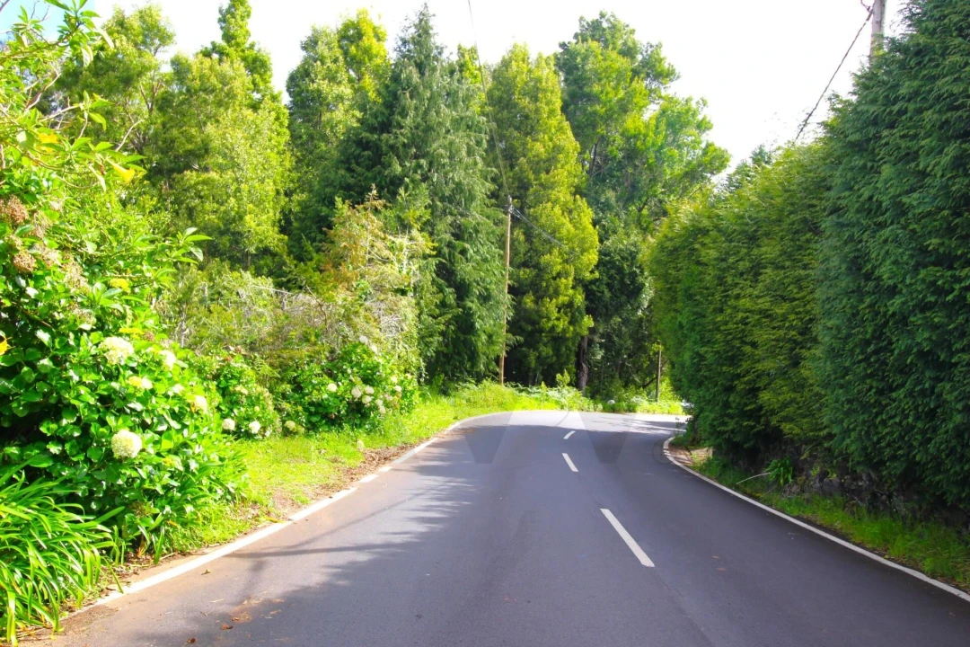 Terreno para Venda em Santana Foto 18
