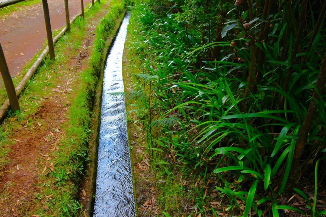 Terreno para Venda em Santana Foto 34