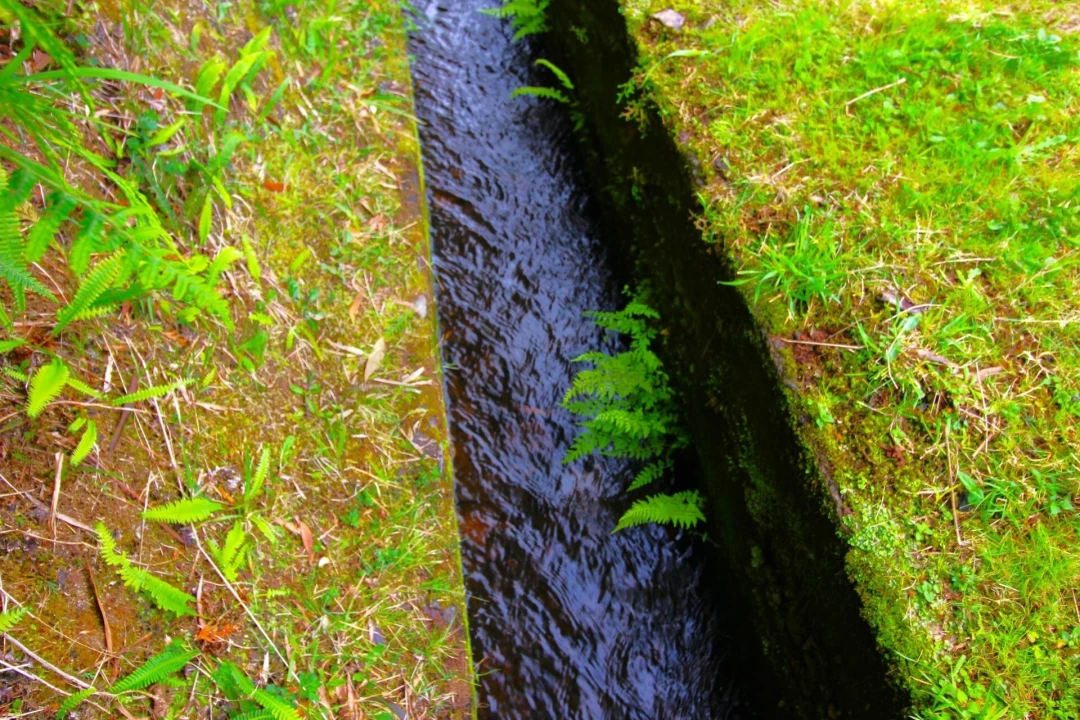 Terreno para Venda em Santana Foto 31
