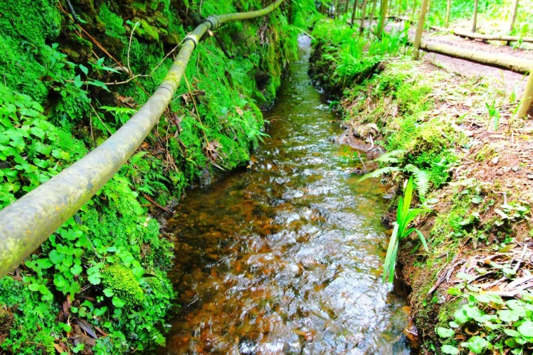 Terreno para Venda em Santana Foto 39