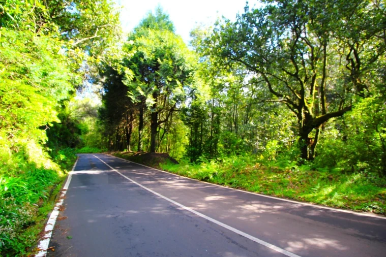 Terreno para Venda em Santana Foto 7