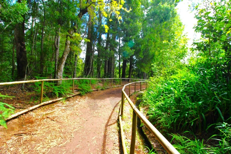 Terreno para Venda em Santana Foto 36