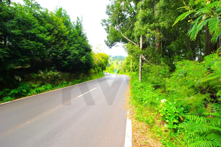 Terreno para Venda em Santana Foto 29