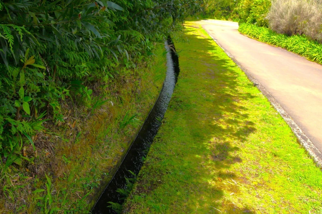 Terreno para Venda em Santana Foto 30