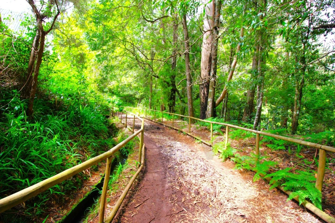 Terreno para Venda em Santana Foto 37
