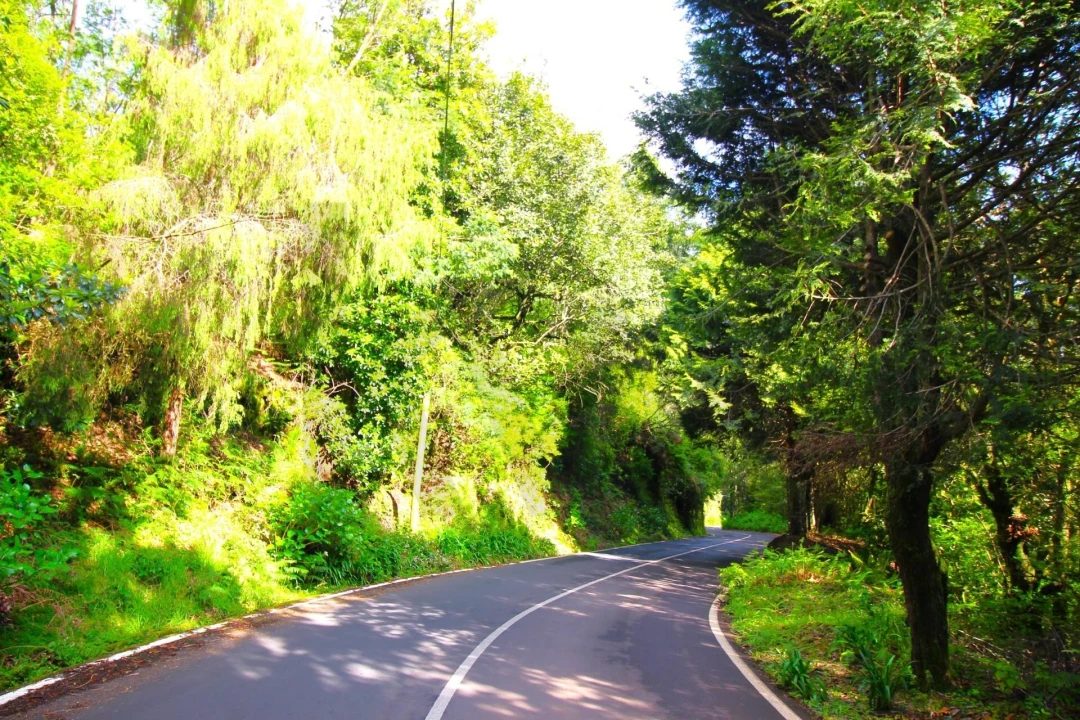 Terreno para Venda em Santana Foto 5