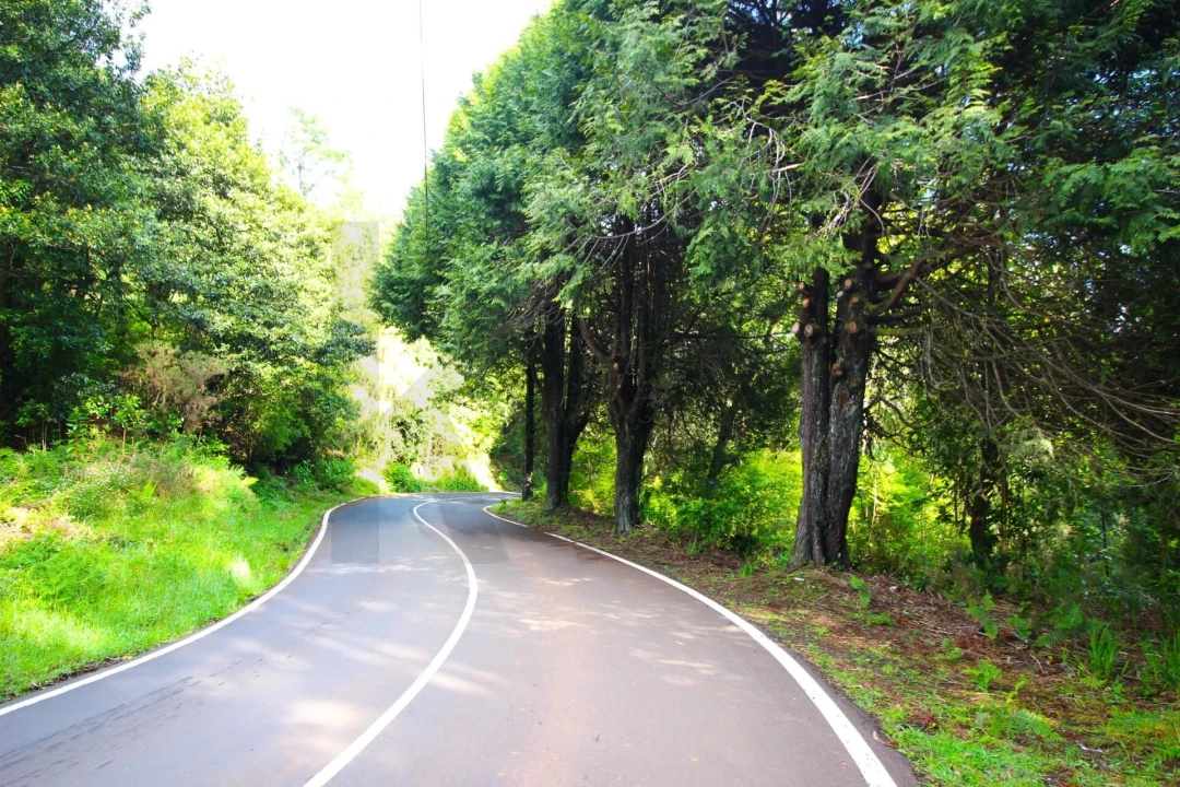 Terreno para Venda em Santana Foto 2
