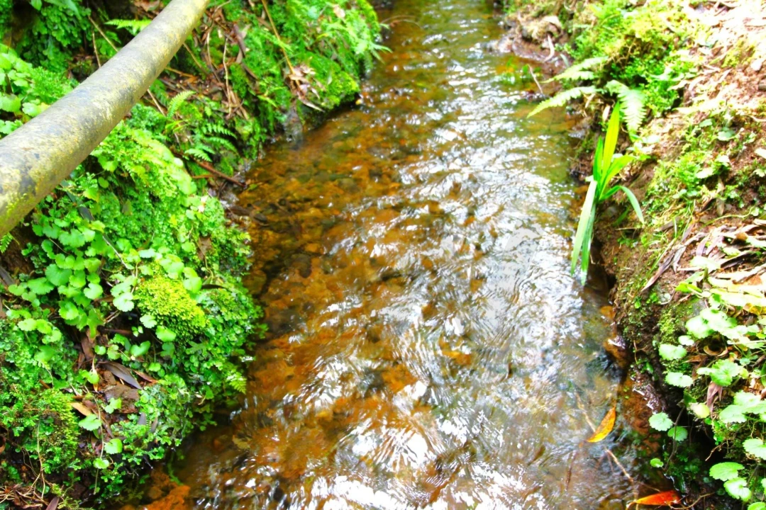 Terreno para Venda em Santana Foto 38