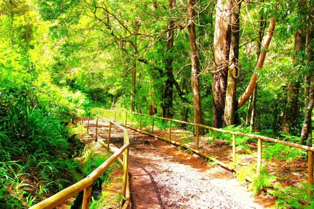 Terreno para Venda em Santana Foto 35