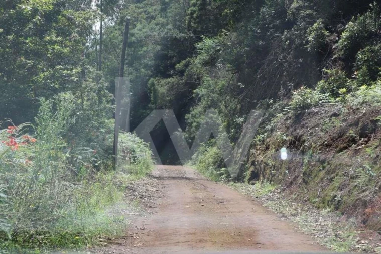 Terreno para Venda em Boa Ventura Foto 1
