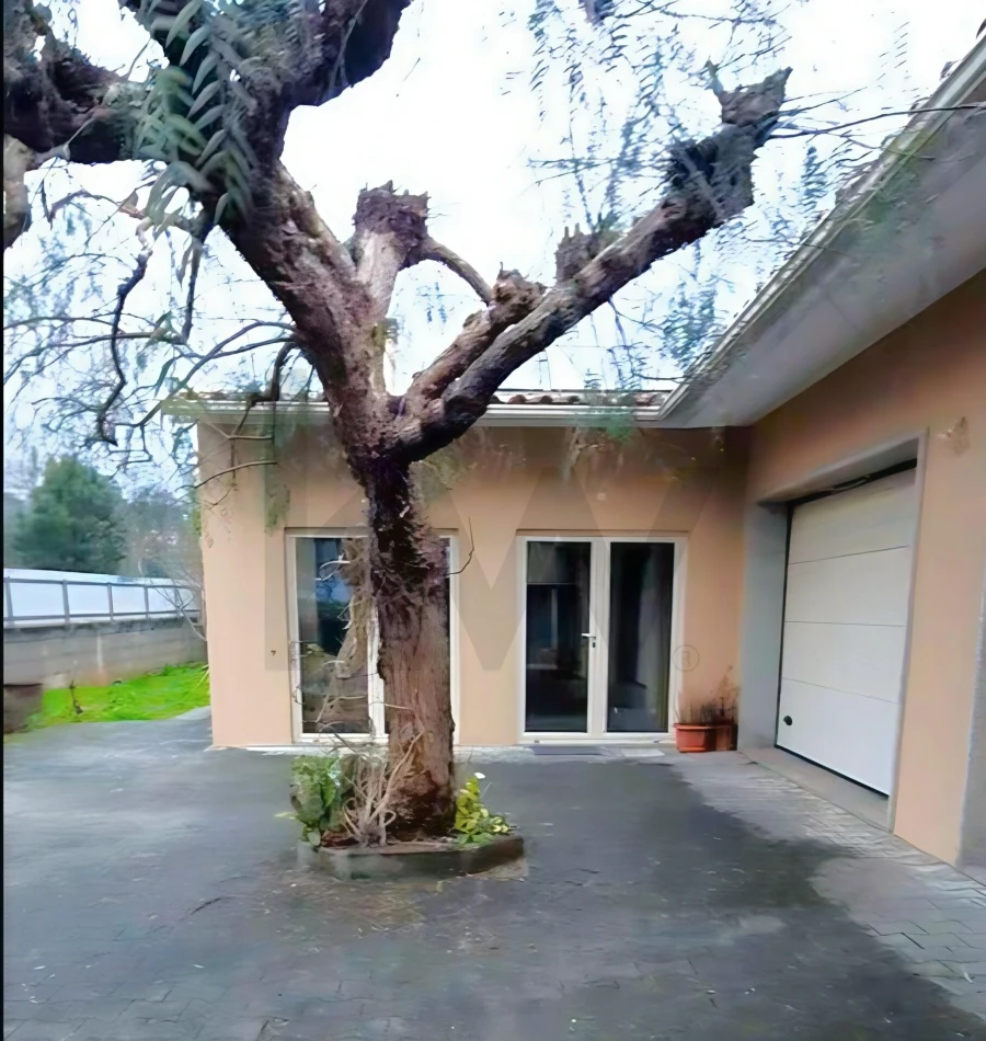 Moradia T4 para Venda em Figueiró dos Vinhos e Bairradas Foto 40