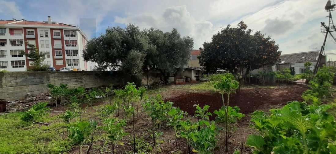 Terreno para Venda em Massamá e Monte Abraão Foto 15