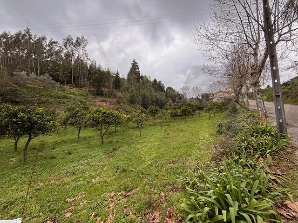 Terreno para Venda em Moita Foto 14