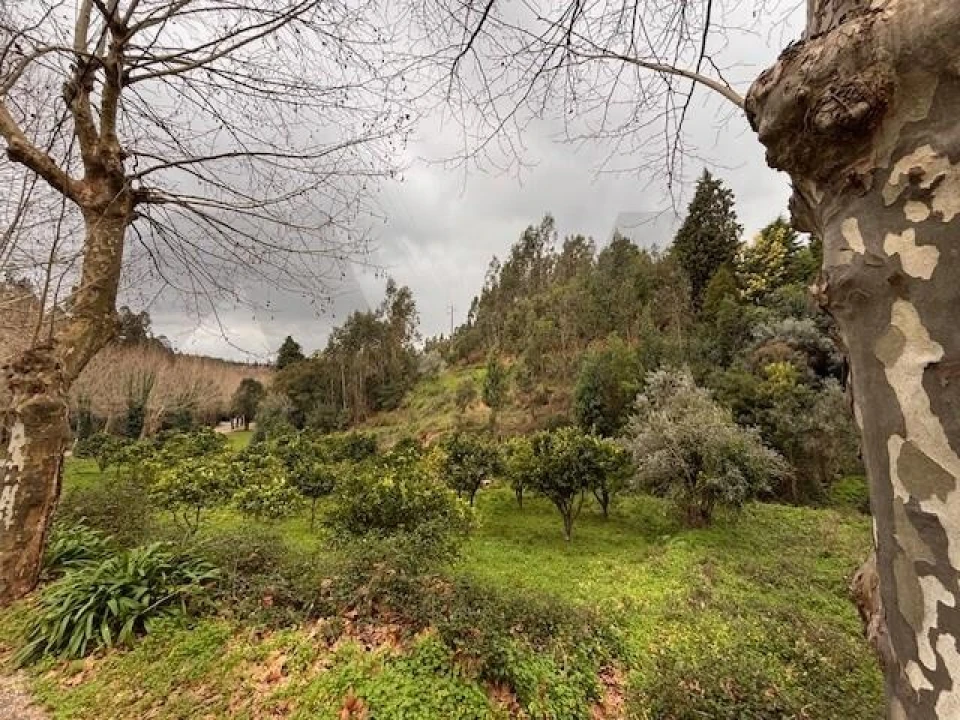 Terreno para Venda em Moita Foto 25
