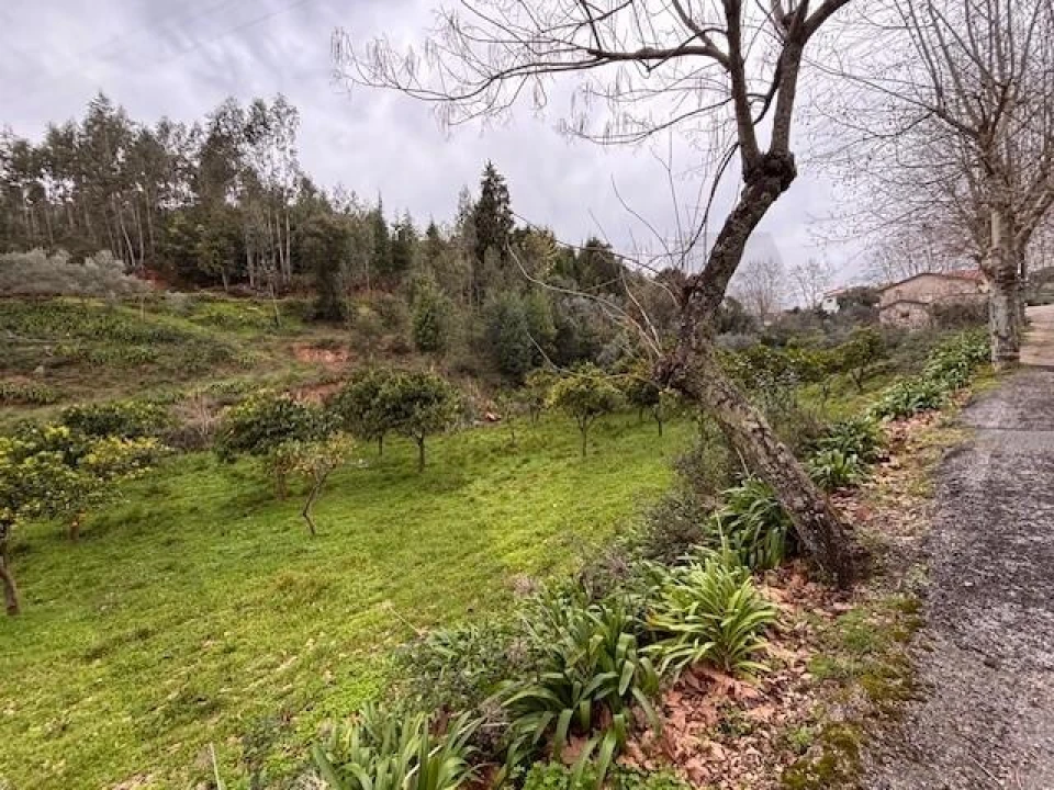 Terreno para Venda em Moita Foto 17