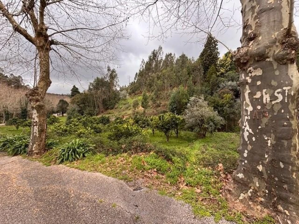 Terreno para Venda em Moita Foto 23