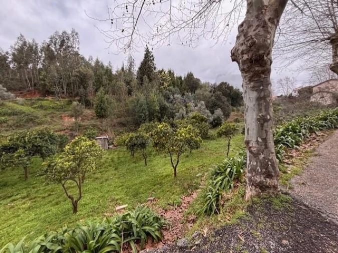 Terreno para Venda em Moita Foto 22