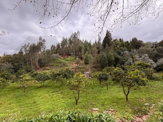 Terreno para Venda em Moita Foto 21