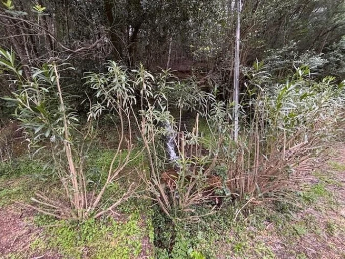 Terreno para Venda em Moita Foto 3