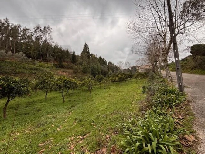 Terreno para Venda em Moita Foto 15