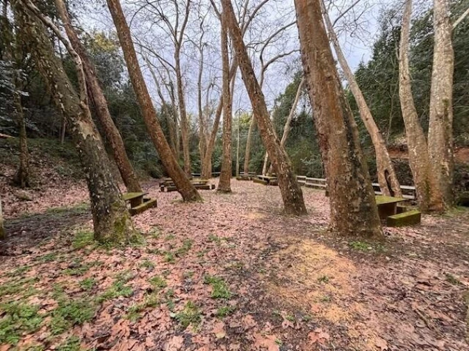 Terreno para Venda em Moita Foto 8