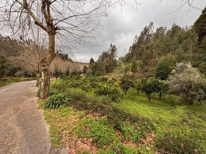 Terreno para Venda em Moita Foto 24