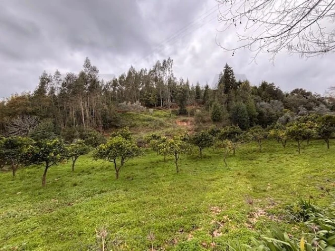 Terreno para Venda em Moita Foto 16