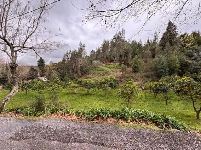 Terreno para Venda em Moita Foto 20