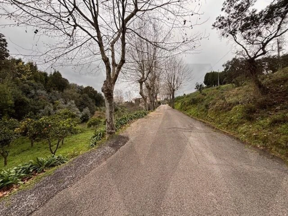 Terreno para Venda em Moita Foto 19