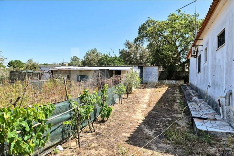Moradia T5 para Venda em Azeitão (São Lourenço e São Simão) Foto 25