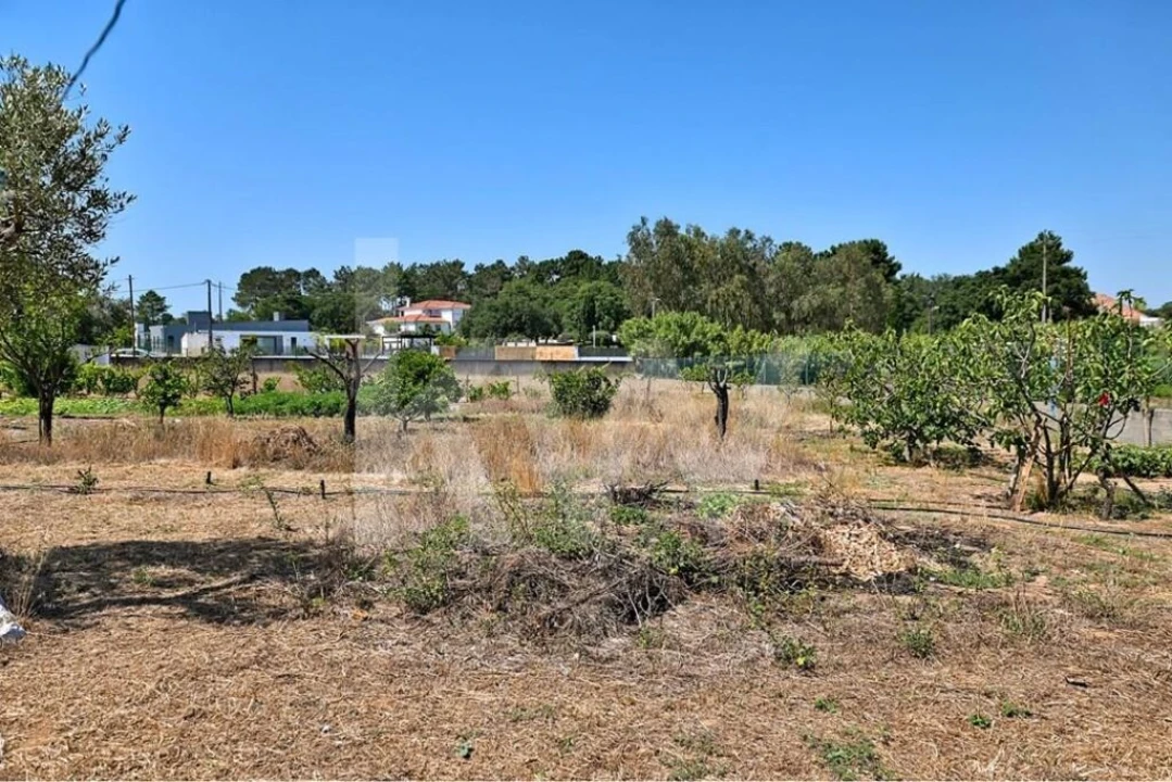 Moradia T5 para Venda em Azeitão (São Lourenço e São Simão) Foto 24