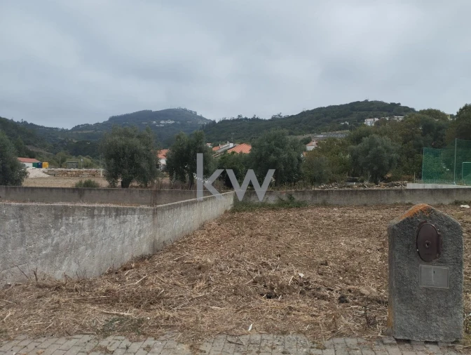 Terreno para Venda em Igreja Nova e Cheleiros Foto 3
