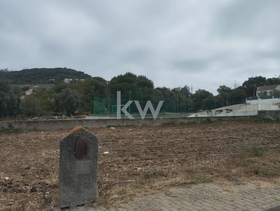 Terreno para Venda em Igreja Nova e Cheleiros Foto 2
