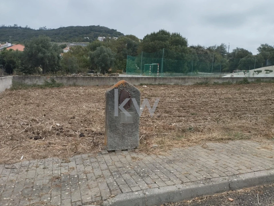 Terreno para Venda em Igreja Nova e Cheleiros Foto 4
