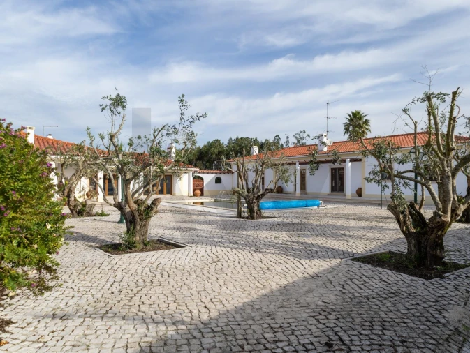 Moradia T4 para Arrendamento em Moita dos Ferreiros Foto 3