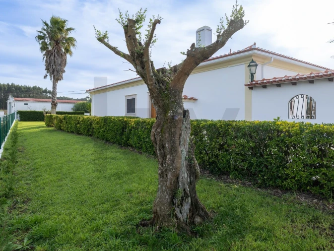 Moradia T4 para Arrendamento em Moita dos Ferreiros Foto 8