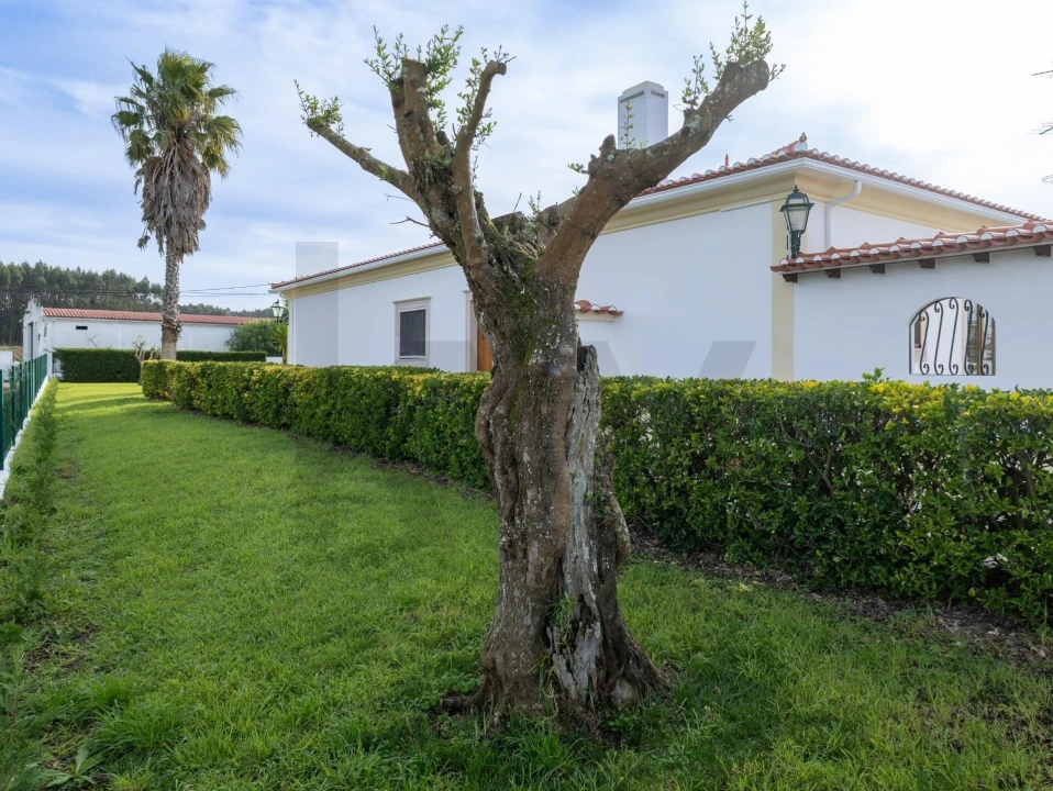 Moradia T4 para Arrendamento em Moita dos Ferreiros Foto 8