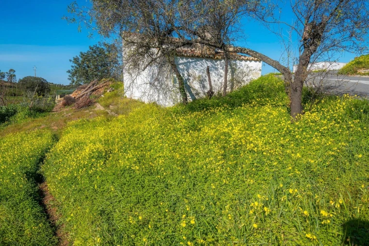 Terreno para Venda em Odeleite Foto 21