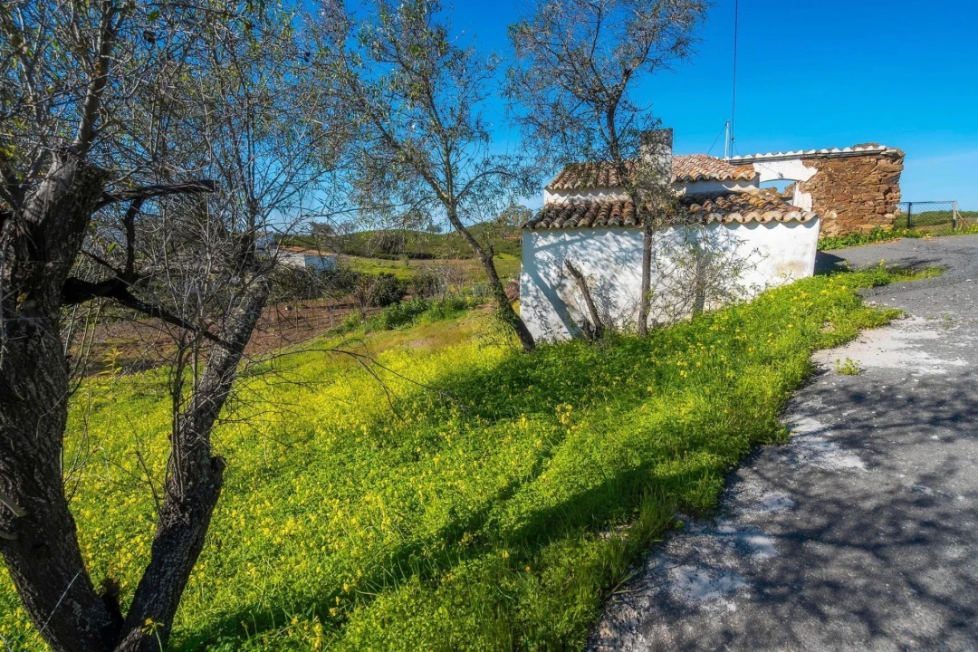 Terreno para Venda em Odeleite Foto 14