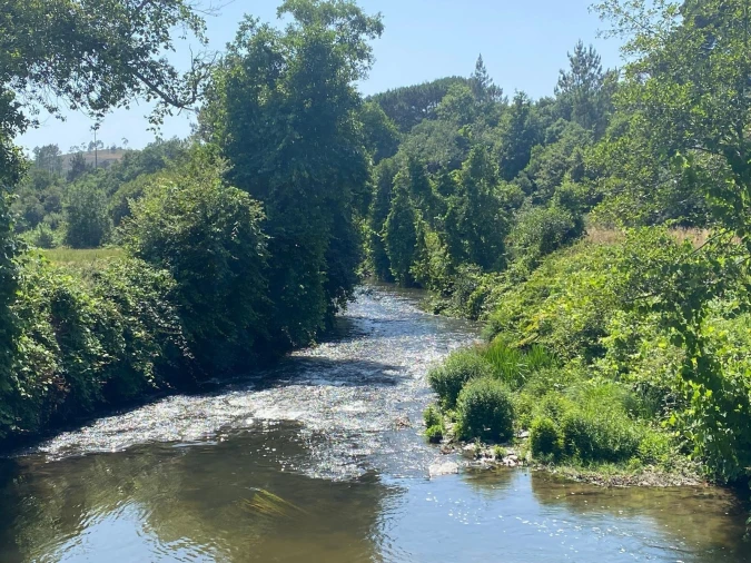 Terreno para Venda em Aguiar de Sousa Foto 11