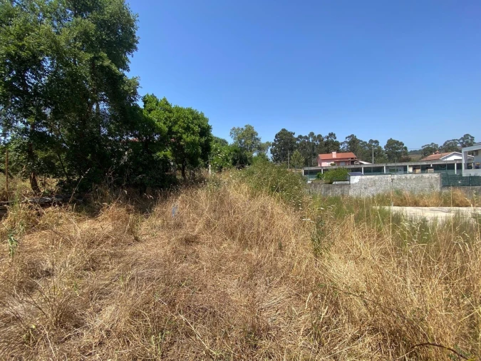 Terreno para Venda em Aguiar de Sousa Foto 3