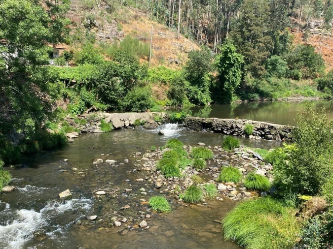 Terreno para Venda em Aguiar de Sousa Foto 15