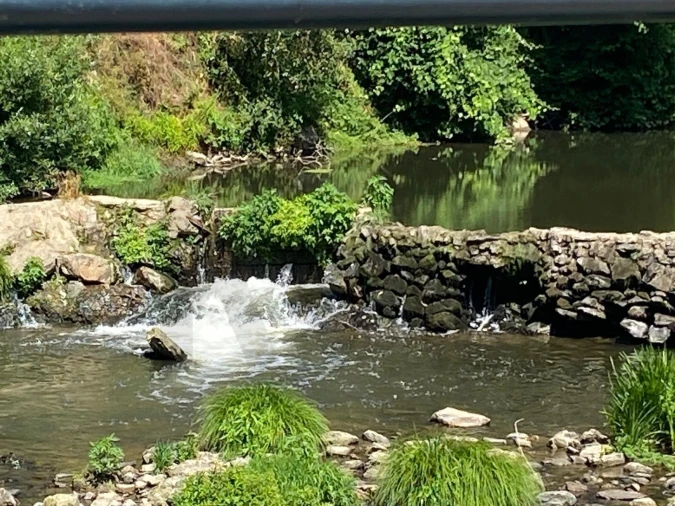 Terreno para Venda em Aguiar de Sousa Foto 14