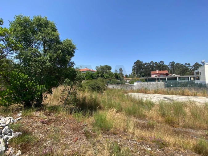 Terreno para Venda em Aguiar de Sousa Foto 2