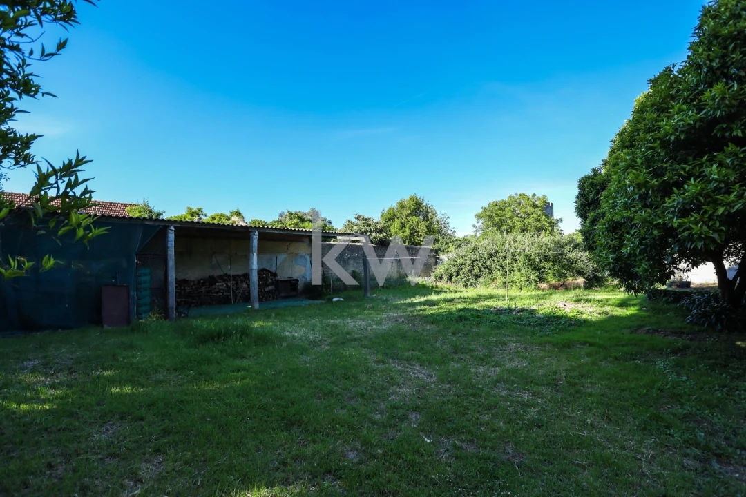 Quinta T12 para Venda em Cantanhede e Pocariça Foto 41