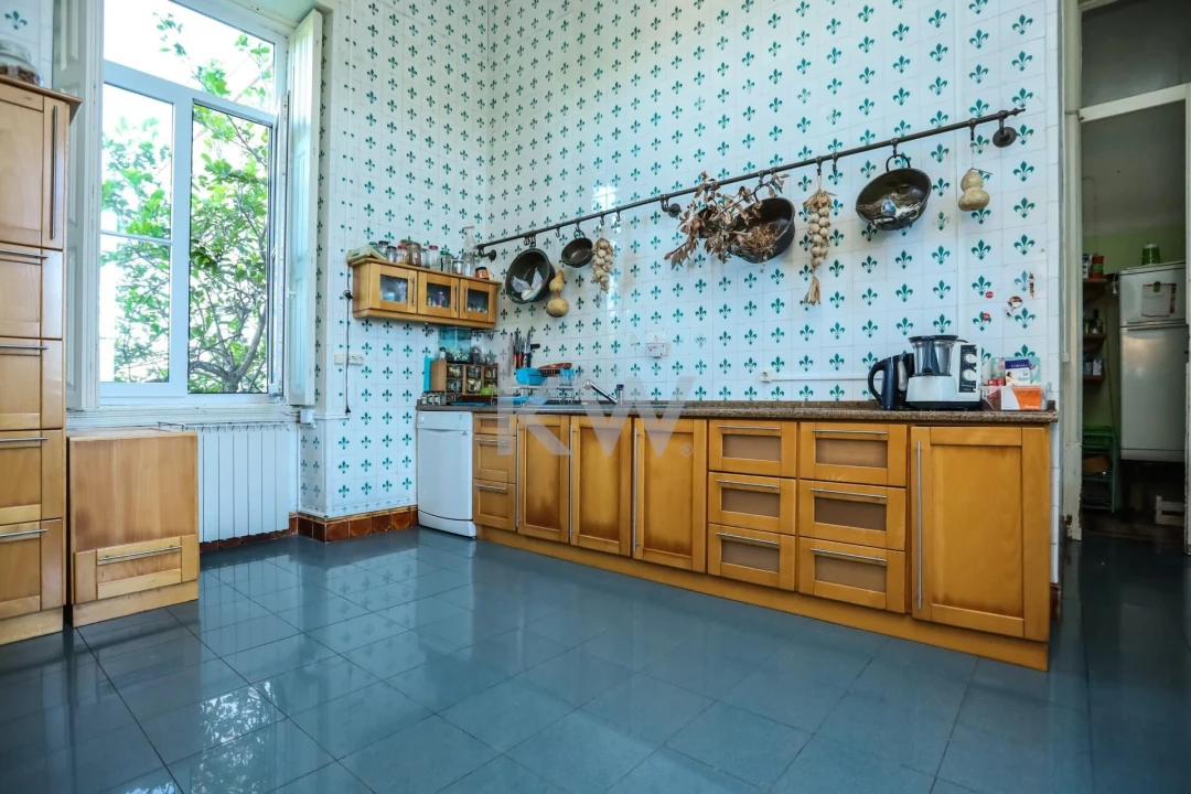 Quinta T12 para Venda em Cantanhede e Pocariça Foto 102